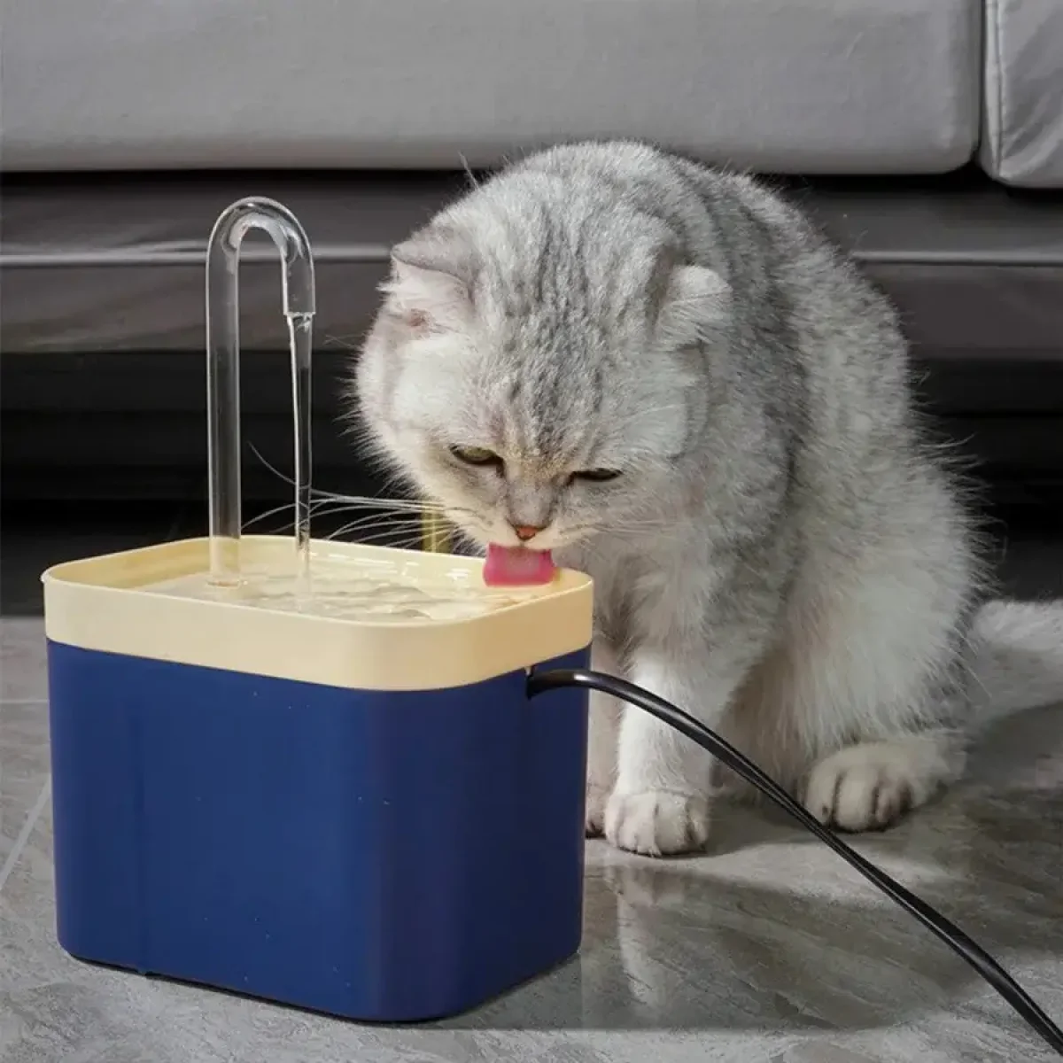 Cat and Dog Water Fountain - Image 2