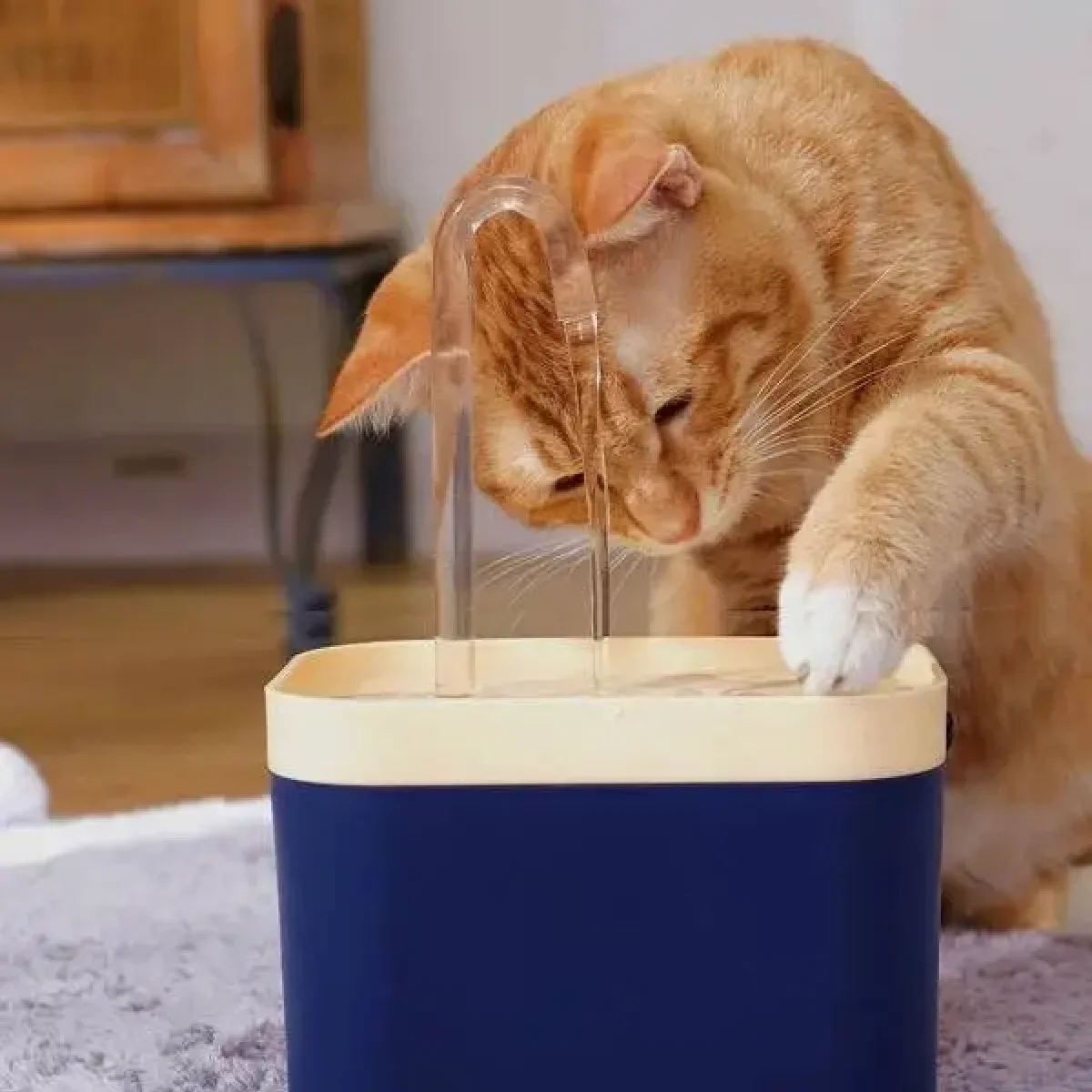 Cat and Dog Water Fountain - Image 3