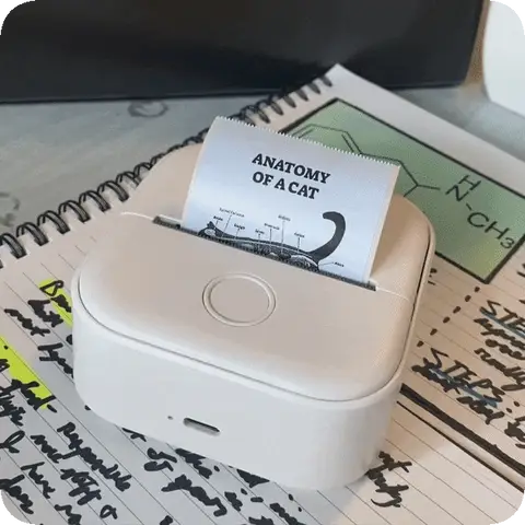 output-onlinegiftools_480x480_54b4b4a2-bda2-464e-ab31-bf84e1340ba0_480x480