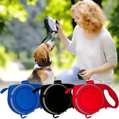 Multifunctional dog leash