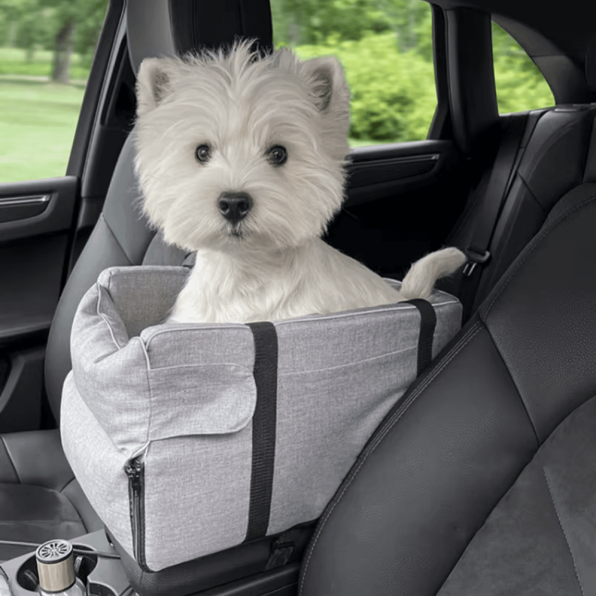 Car bag for pets – Bild 2